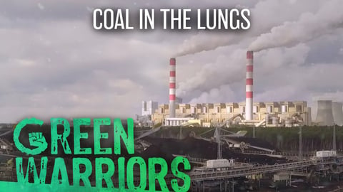 Green Warriors: Coal in the Lungs cover image