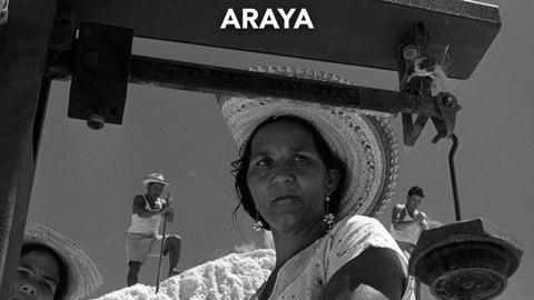 Araya cover image