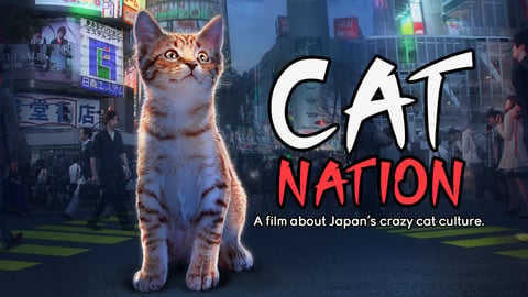 Cat Nation cover image