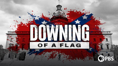 Downing of a Flag cover image