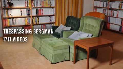 Trespassing Bergman - 1711 Videos cover image