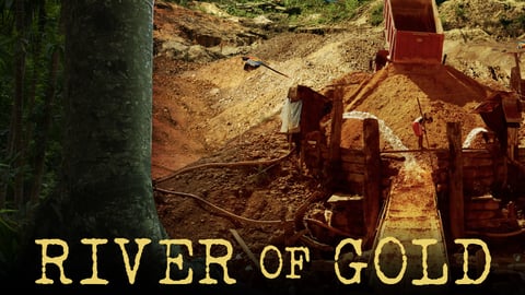 River of Gold cover image
