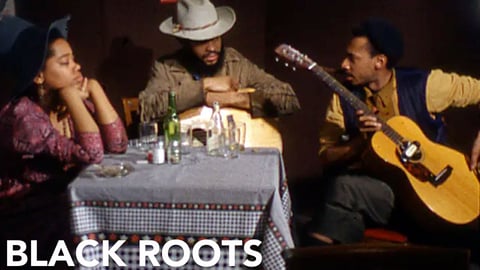 Black Roots cover image
