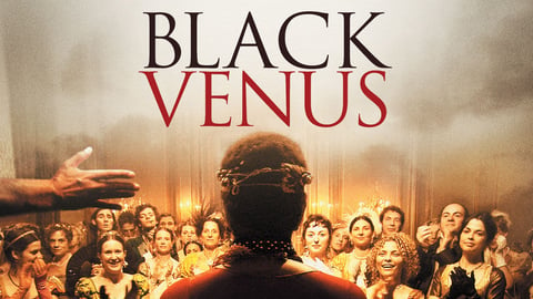 Black Venus cover image