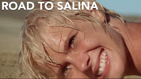 Road to Salina cover image