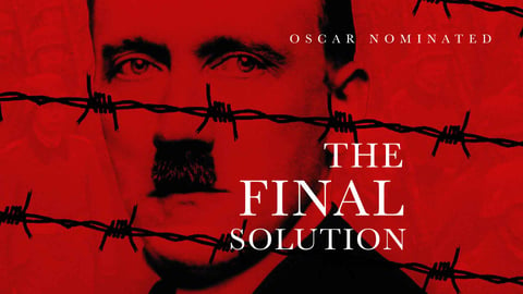 The Final Solution cover image