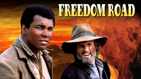 Freedom Road cover image