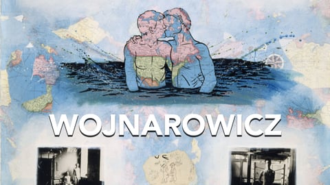 Wojnarowicz cover image