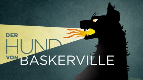Der Hund Von Baskerville cover image