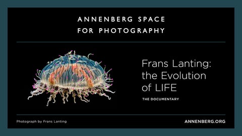 Frans Lanting: the Evolution of Life cover image