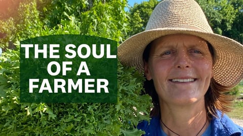 The Soul of a Farmer cover image