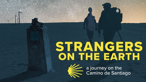 Strangers on the Earth cover image