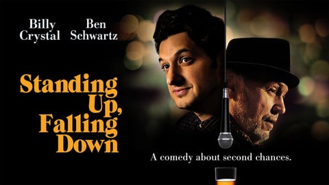 Standing Up, Falling Down cover image