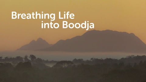 Breathing Life Into Boodja