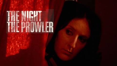 The Night the Prowler cover image