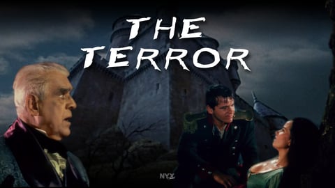 The Terror cover image