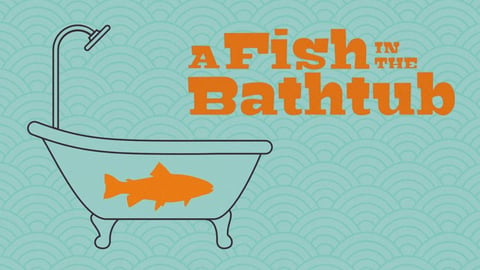 A Fish in the Bathtub cover image
