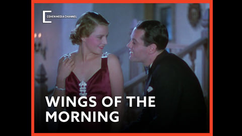 Wings of the Morning cover image