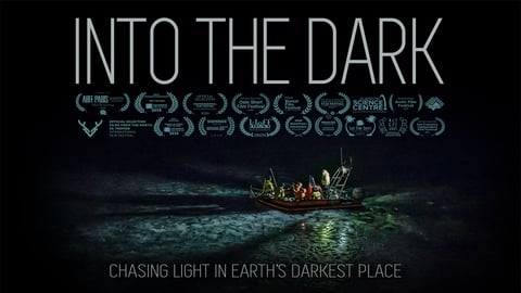 Into the Dark cover image