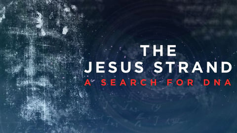 The Jesus Strand: A Search for DNA cover image