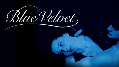Blue Velvet cover image