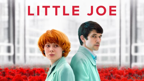 Little Joe cover image