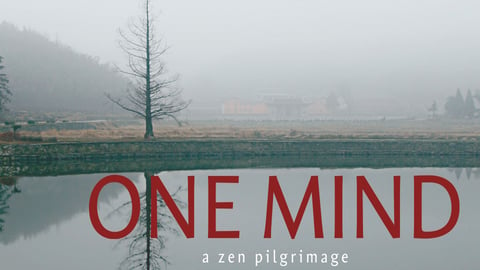 One Mind cover image