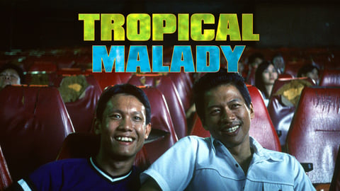 Tropical Malady cover image