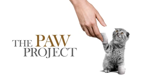The Paw Project cover image