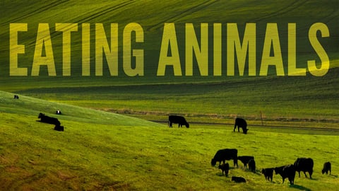 Eating Animals cover image