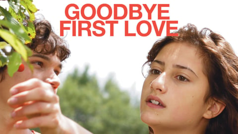 Goodbye first love
