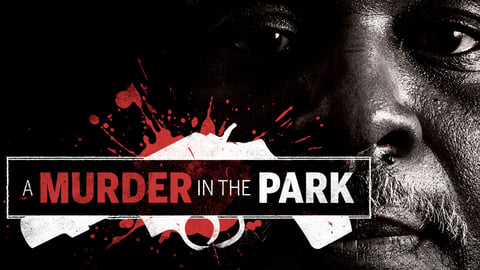 A Murder in the Park cover image