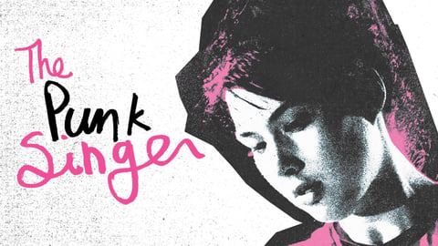 The Punk Singer cover image