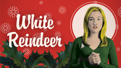 White Reindeer cover image