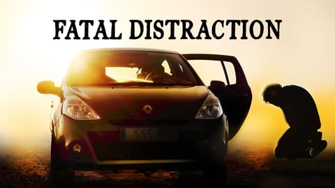 Fatal Distraction cover image