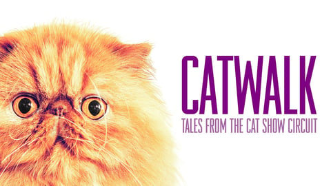 Catwalk: Tales from the Cat Show Circuit cover image