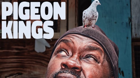Pigeon Kings cover image