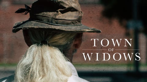 Town of Widows cover image