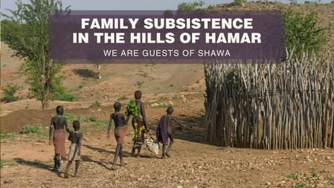 Family Subsistence in the Hills of Hamar cover image