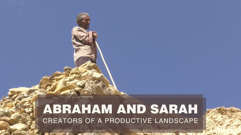 Abraham and Sarah. Creators of a Productive Landscape