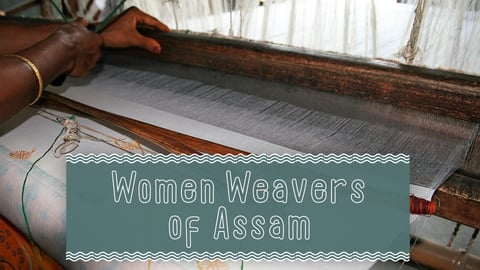 The Women Weavers of Assam cover image