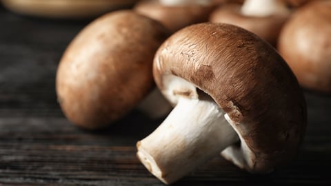 The Scientific Guide to Health and Happiness. Episode 11, Mushrooms: A Superfood for Well-Being cover image