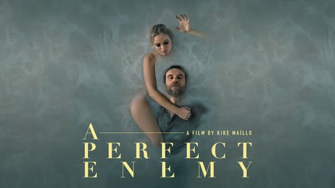 A Perfect Enemy cover image