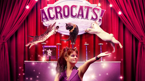 Acrocats! cover image