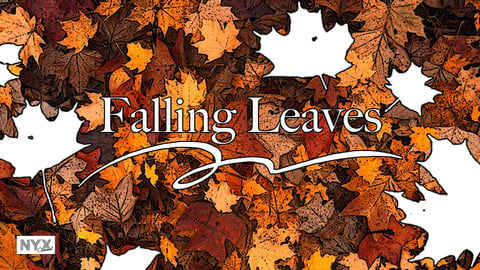 Falling Leaves cover image