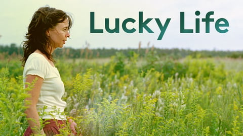 Lucky Life cover image