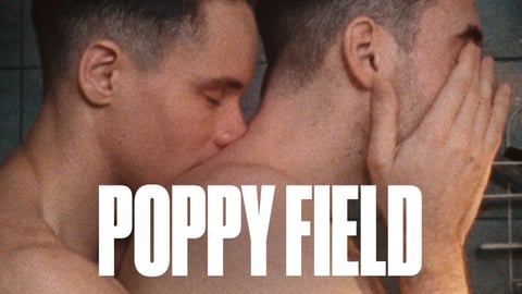 Poppy Field cover image