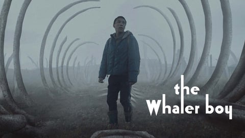 The Whaler Boy cover image