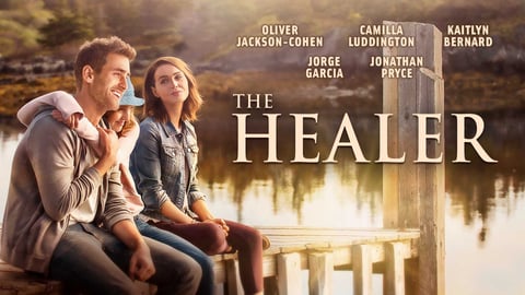 The Healer cover image