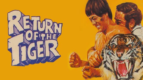 Return of the Tiger cover image